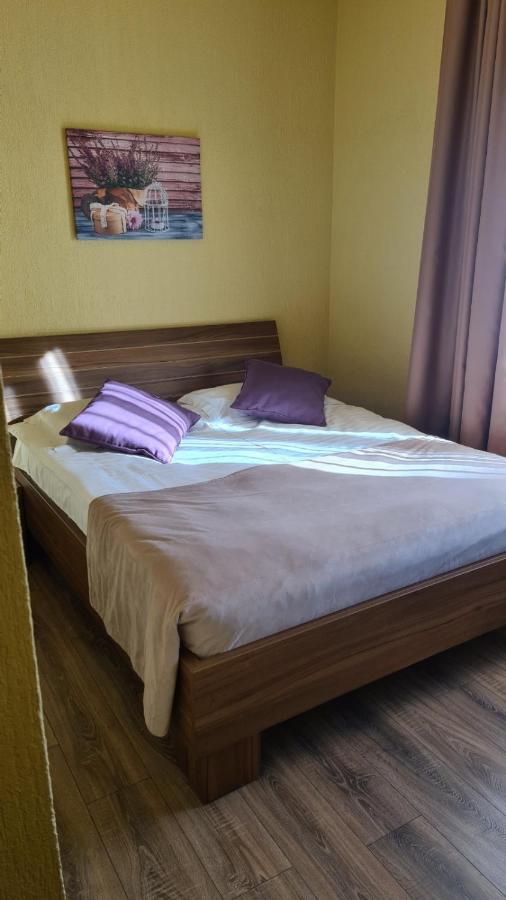 Hotel Gema Брашов Екстер'єр фото